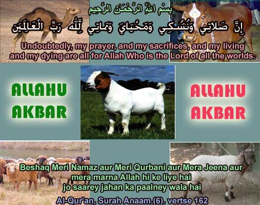 Image result for qurbani hadith